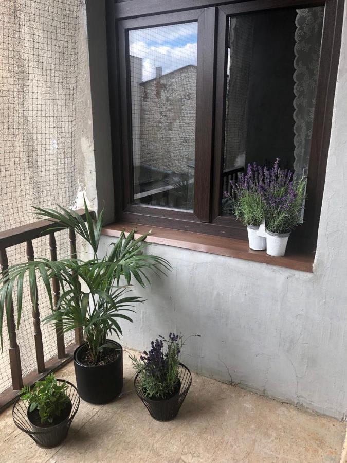 Kamieniczka 12 Apartamenty Częstochowa Exteriör bild